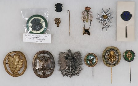 GERMAN PIN AND BADGE GROUP (12)