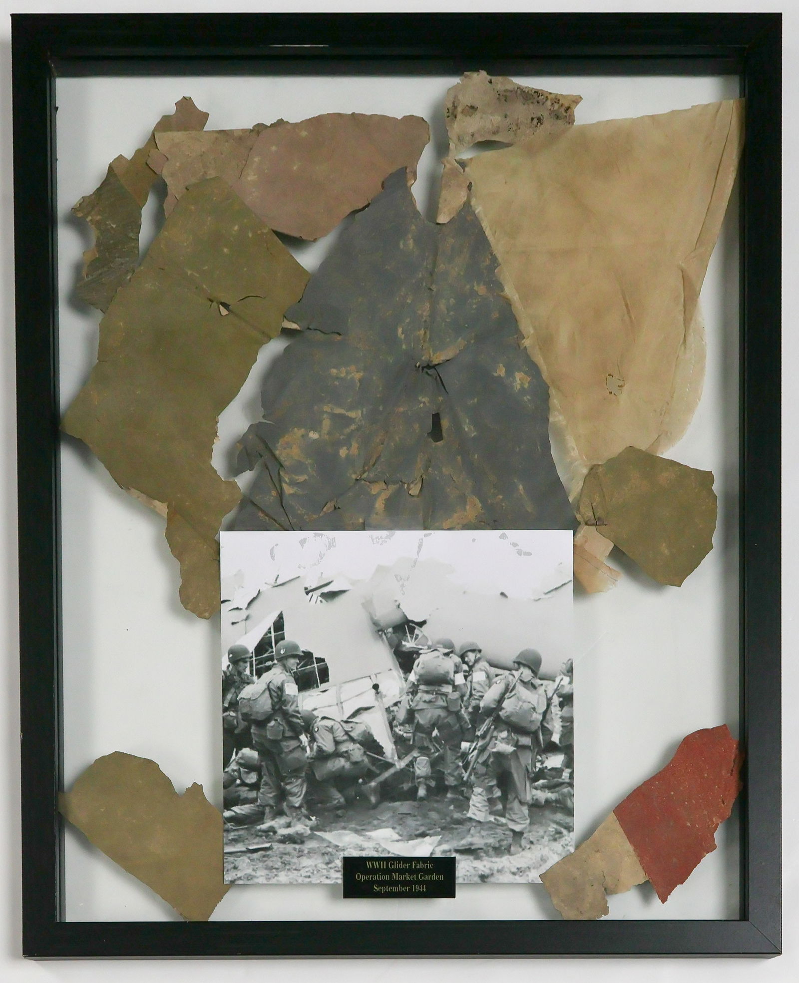 OPERATION MARKET GARDEN GLIDER FABRIC RELIC: A battered section of glider 'skin' as well as a swatch of parachute cloth, from a glider wrecked during the operation 'Market Garden'. Handsomely framed in a double glass black frame measuring 21.25