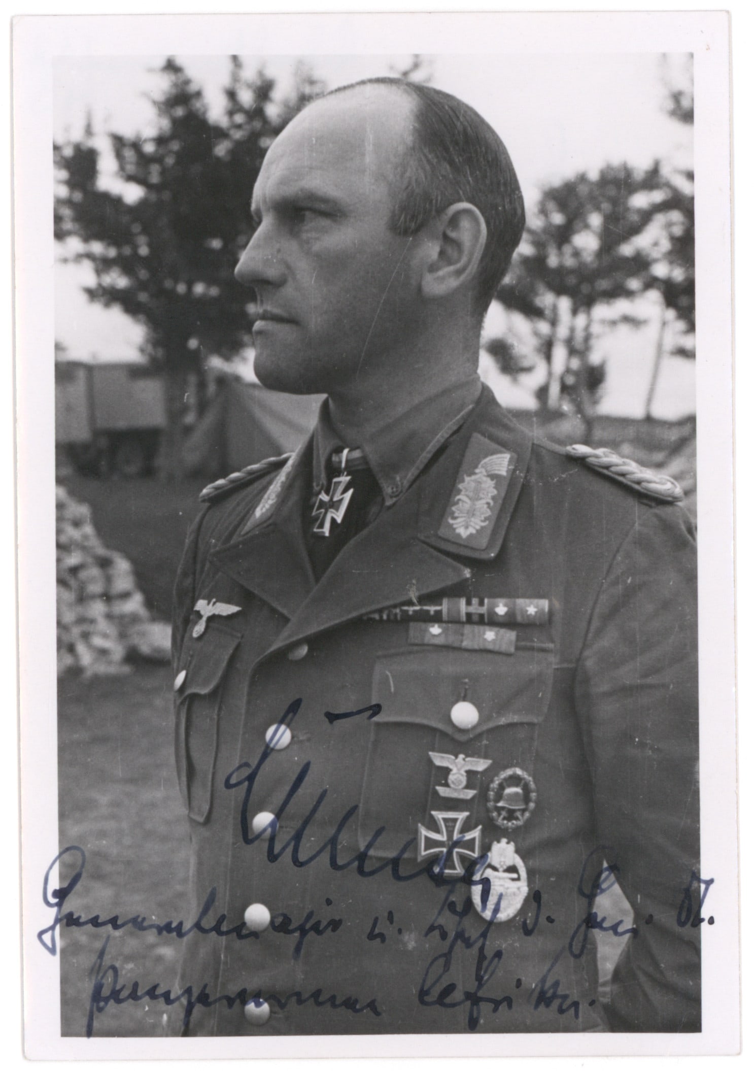 ALFRED GAUSE (1 of 3)