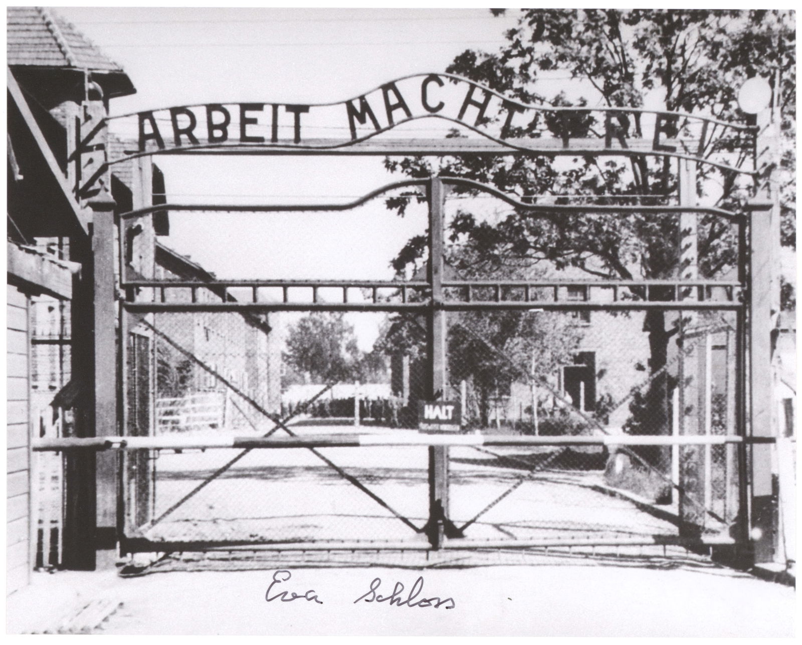 EVA SCHLOSS: (1929-2026) Step-sister of Anne Frank who survived internment at Auschwitz. S.P. 10 x 8 in. b/w, showing the gate to Auschwitz, boldly signed at bottom blank margin. Fine.