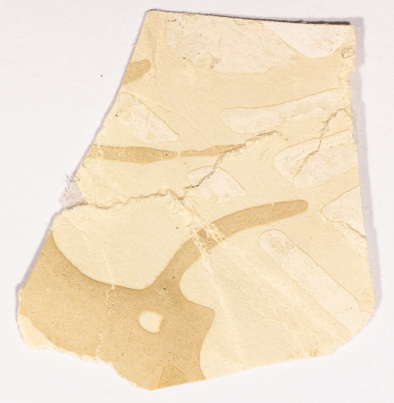 ABRAHAM LINCOLN PETERSON HOUSE WALLPAPER RELIC: A rare Lincoln assassination relic, a small swath of original wallpaper from the room in the Petersen House where Lincoln died. The swath measures approx 0.75 x 1 in., and was obtained by the