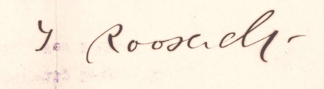 THEODORE ROOSEVELT - 2