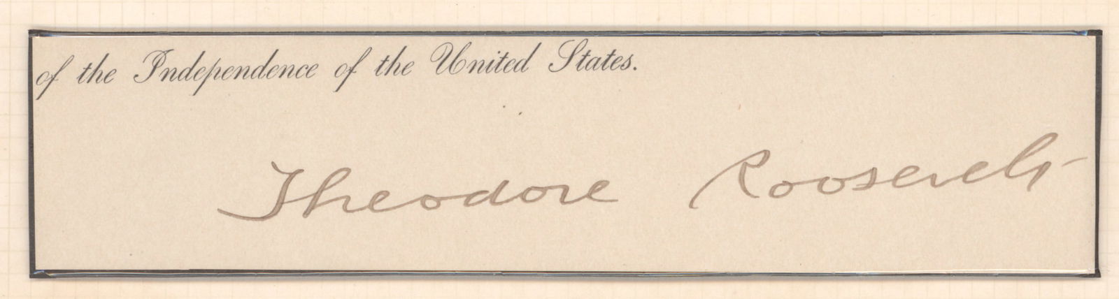 THEODORE ROOSEVELT - 2