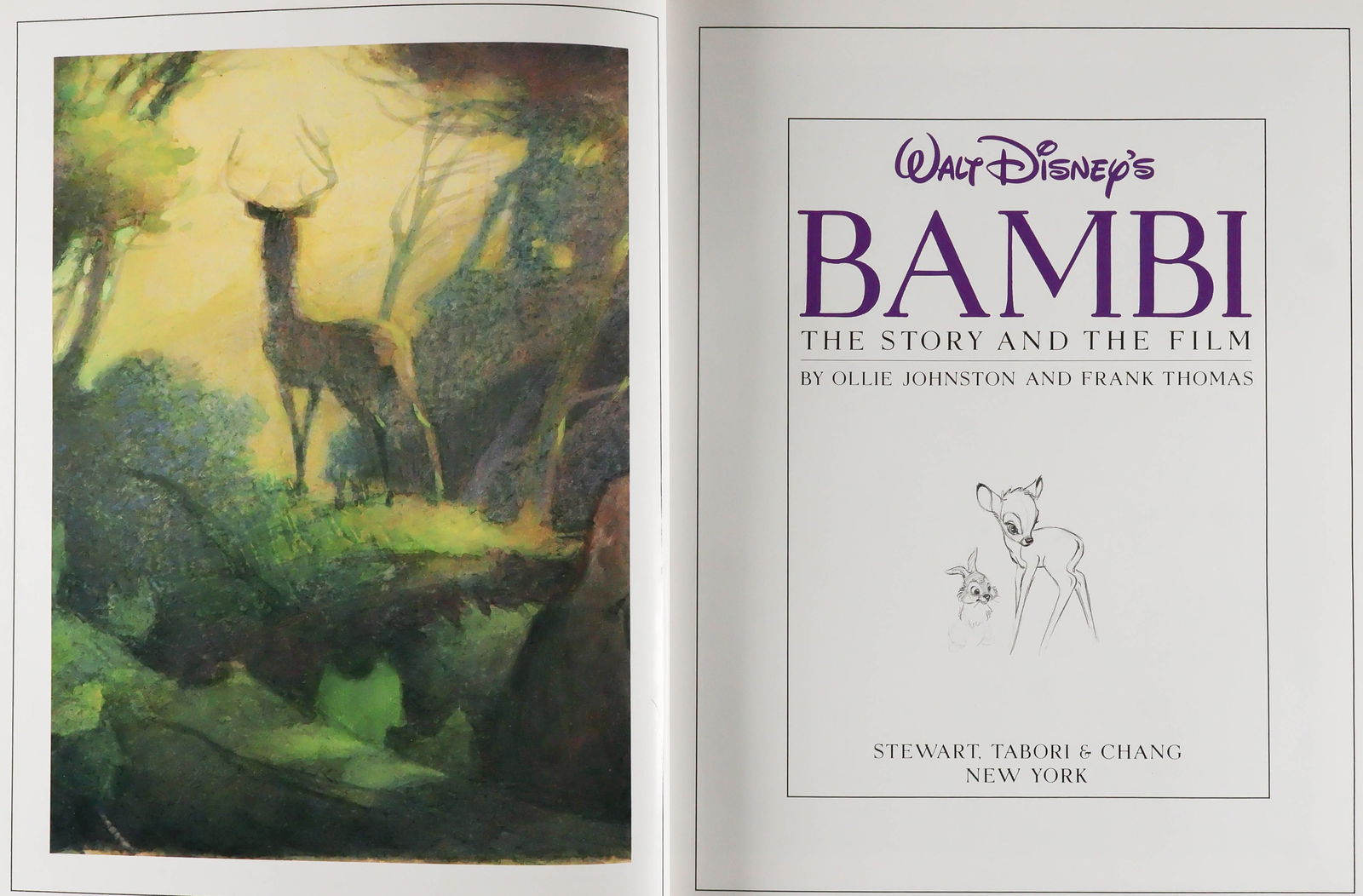 DISNEY ANIMATORS - 3