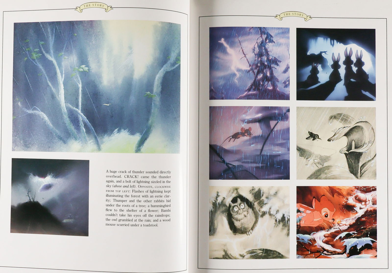 DISNEY ANIMATORS - 4