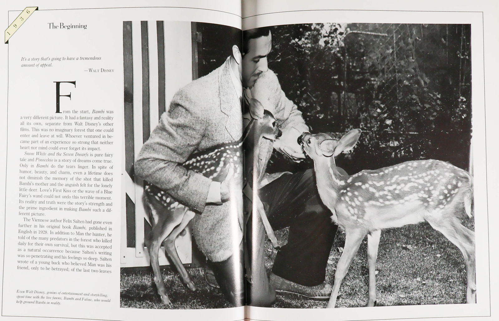 DISNEY ANIMATORS - 7