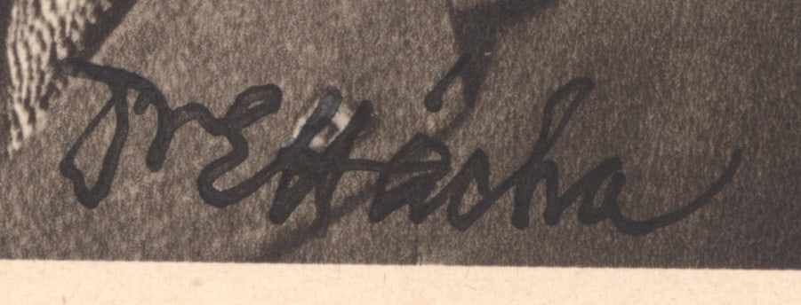 EMIL HACHA - 2