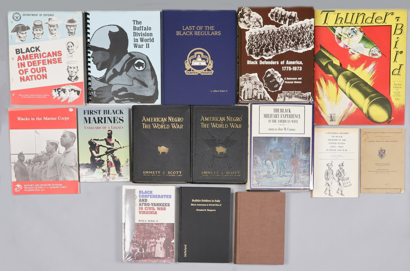 AFRICAN-AMERICAN MILITARY HISTORY (27) (1 of 19)