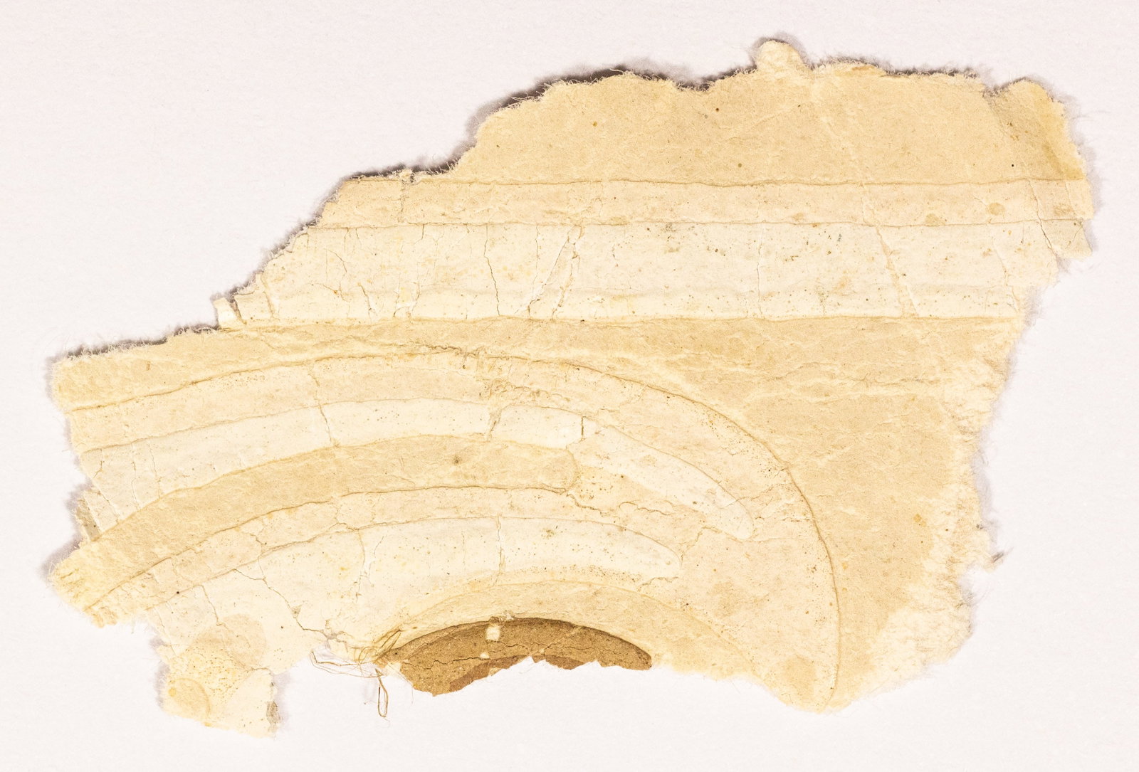 ABRAHAM LINCOLN PETERSON HOUSE WALLPAPER RELIC: A rare Lincoln assassination relic, a small swath of original wallpaper from the room in the Petersen House where Lincoln died. The swath measures approx 0.75 x 1.25 in., and was obtained by the