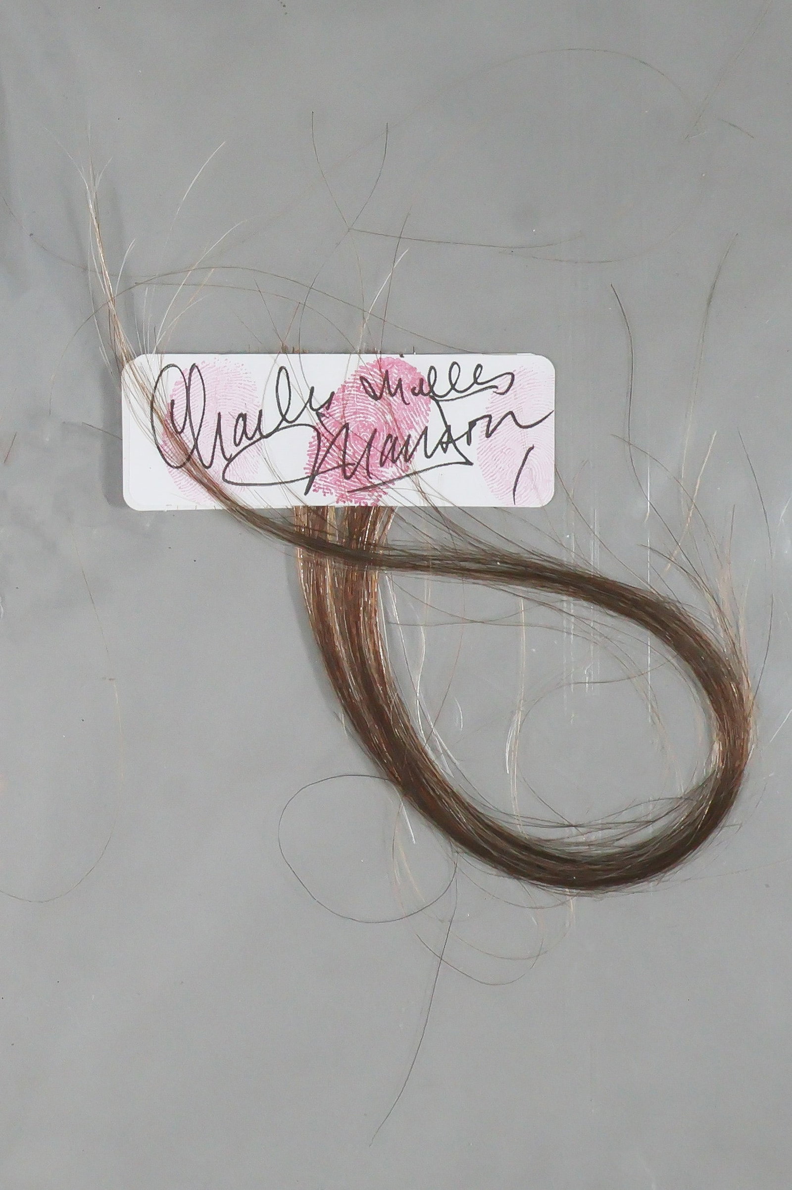 A LOCK OF CHARLES MANSON’S HAIR: CHARLES MANSON (1934-2017) Drifter whose 'family' committed the infamous Tate-LaBianca murders in 1969. A substantial lock of Manson’s hair, brown and streaked with gray, 10 in. approx.,