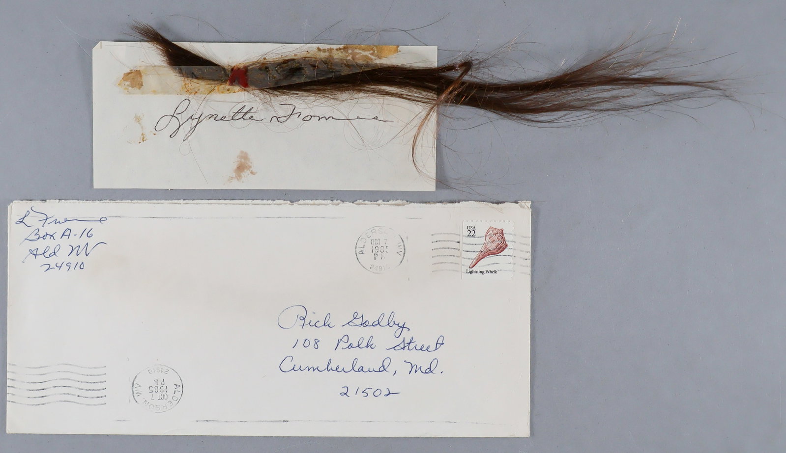 [CHARLES MANSON FAMILY] A LOCK OF LYNETTE 'SQUEAKY' FROMME'S HAIR (1 of 2)