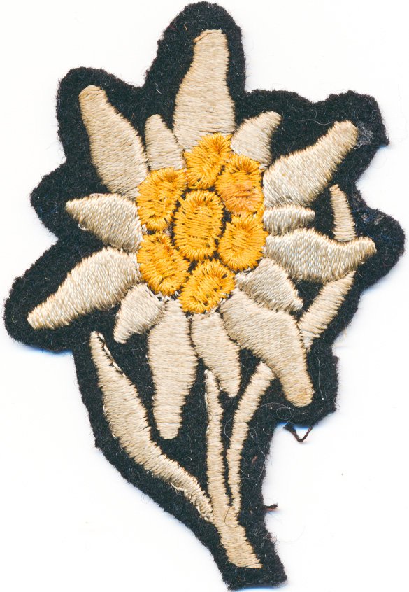 CLOTH "EDELWEISS" PATCH: CLOTH "EDELWEISS" PATCH Embroidered cloth edelweiss patch, 2 3/4" long, recovered by S/Sgt. Theodore Faugh, 502 P.I.R, 101st Airborne, who is also credited with the capture of Dr. Robert Ley. Very goo