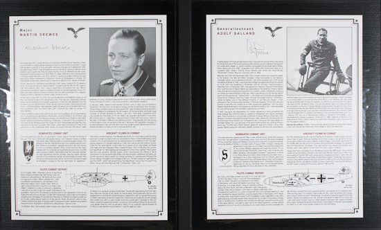 LUFTWAFFE FIGHTER ACES (1 of 5)