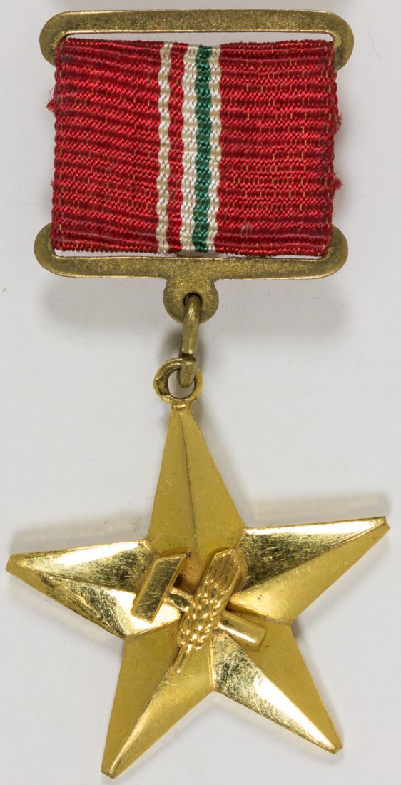 HUNGARIAN GOLD STAR HERO MEDAL (1 of 2)