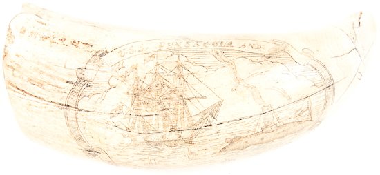 USS PENSACOLA VS. IRONCLAD MANASSAS SCRIMSHAW: USS PENSACOLA VS. IRONCLAD MANASSAS SCRIMSHAW Fine scrimshaw whale tooth, 5 3/4" long, depicts on the obverse: "U.S.S. PENSACOLA AND CONFEDERATE MANASSAS" engaged in a gun duel, while the reverse show