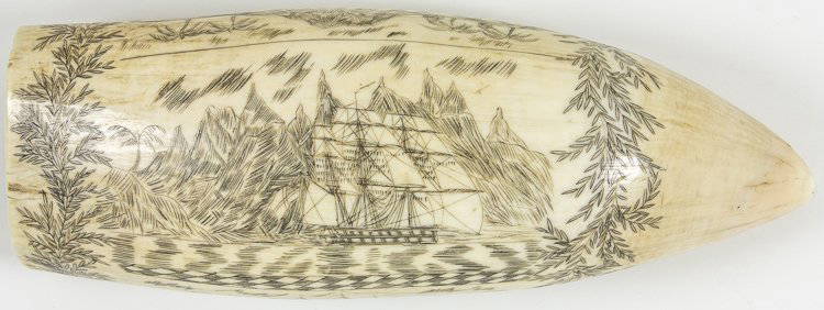 SPERM WHALE TOOTH SCRIMSHAW: SPERM WHALE TOOTH SCRIMSHAW Well-carved sperm whale tooth, 6" long, shows three images of a whaling ship, apparently in the tropics, along with a scene of a tropical beach, palm trees, and huts. Museu