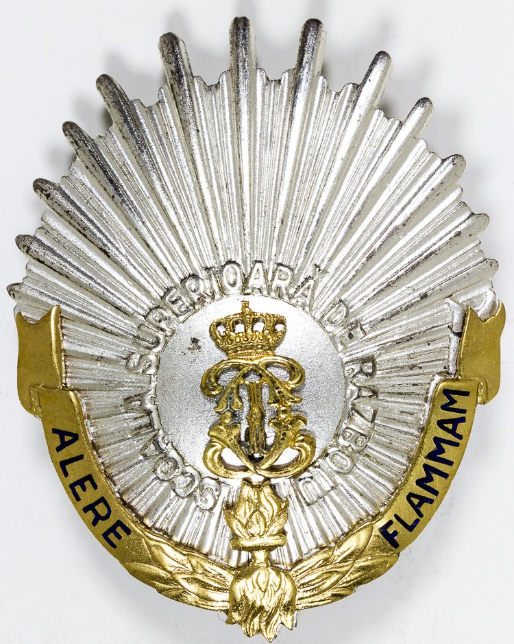 ROMANIAN MILITARY SCHOOL INSTRUCTOR'S BADGE: ROMANIAN MILITARY SCHOOL INSTRUCTOR'S BADGE Silver-gilt badge, 2 1/4" long with pin and catch on the reverse, bears Romanian royal seal and legend "ALERE FLAMMAM". Very good. The badge was instituted