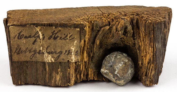 ANTIQUE GETTYSBURG BULLET IN WOOD (1 of 1)