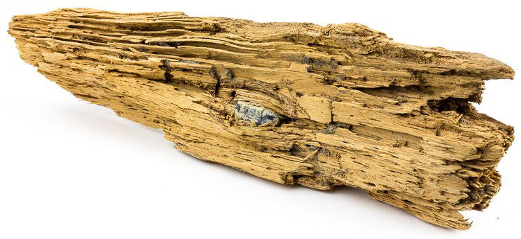 CIVIL WAR BULLET IN WOOD: CIVIL WAR BULLET IN WOOD Nice larger section of unfinished wood, 6" x 3", bearing at one end an embedded minie ball. Recovered from a Virginia battlefield.