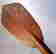 item-36924298=9