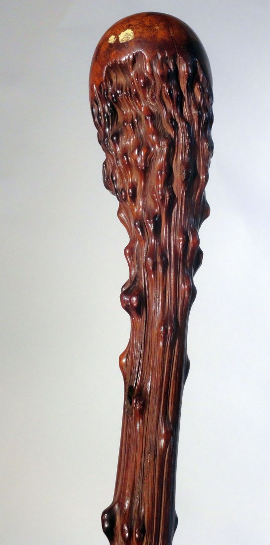 Chinese or Japanese Fine Old Root Cane Walking Stick: Very interesting old rootwood or rootstock cane, probably Chinese or Japanese, with fine old patina of an early cane, probably 19th century. Length 34 1/4 Inches (87.1 cm) Width 2 1/8 Inches (5.5 cm)