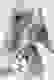 item-89835312=2