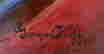 item-119140580=3