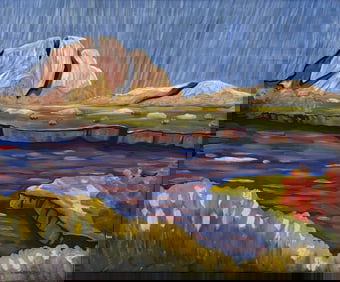 CONRAD BUFF OIL ON BOARD