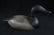 1900s Male Carved Duck Decoy Early 1900s paint