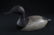 1900s Male Carved Duck Decoy Early 1900s paint - 2