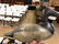 1900s Female Carved Duck Decoy Early 1900s paint - 11