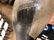 1900s Female Carved Duck Decoy Early 1900s paint - 12