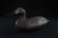 1900s Female Carved Duck Decoy Early 1900s paint - 2