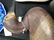 1900s Female Carved Duck Decoy Early 1900s paint - 6