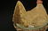 19th Century Bisque Hen on the Nest 19th c. bisque hen - 3