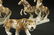 Royal Dux Animal Figurines Lot of 3 Royal Dux porcelain - 2
