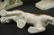 Royal Dux Animal Figurines Lot of 3 Royal Dux porcelain - 4
