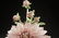 Cybis Dahlia Sculpture Cybis pottery signed and - 2
