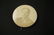 1908 William Howard Taft Political Tray & Pin 1908 - 6