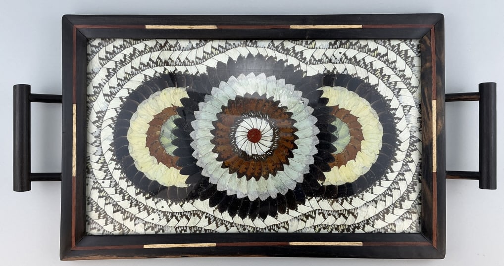 Vintage African Butterfly & Moth Wing Tray. (1 of 5)