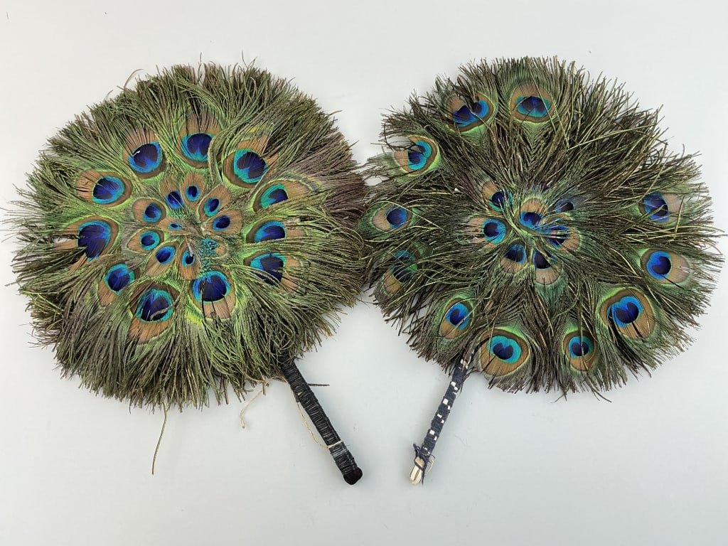 2 Vintage Peacock Feather Hand Fans. (1 of 7)