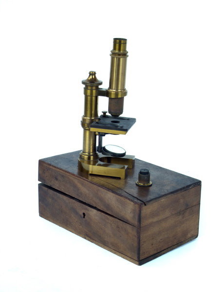 LACQUERED-BRASS MICROSCOPE BY LEITZ.