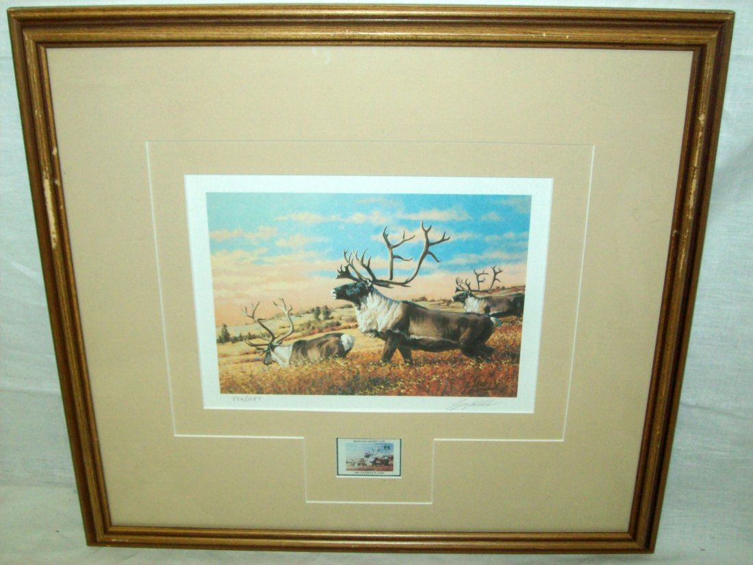 Barren Ground Caribou Ltd Ed Print/Stamp Guy Coheleach: This print and stamp were part of a conservation collection for the Boone and Crocket Club. Image 10" W x 7.5" H Frame 19" W x 17.5" H.
