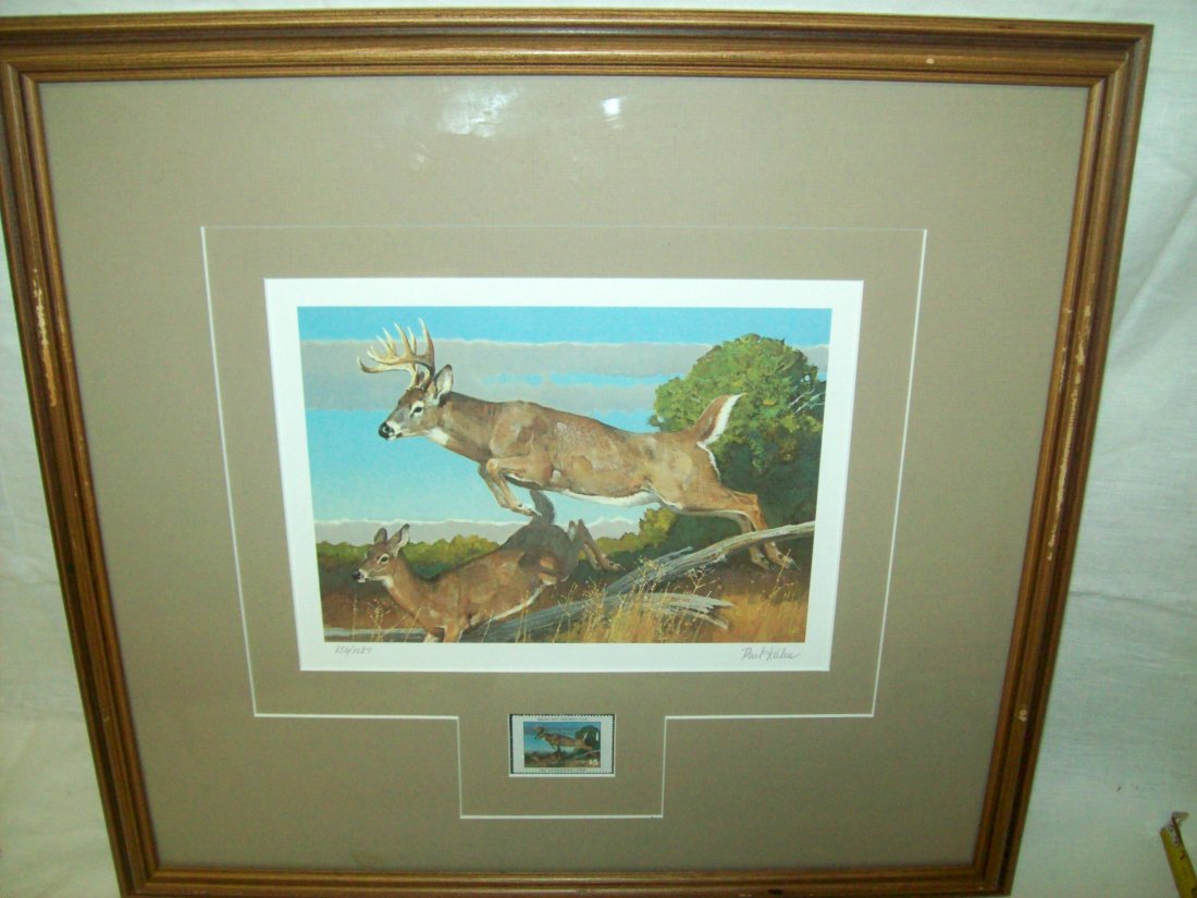 White Tail Deer Limited Edition Print/Stamp Bob Kuhn (1 of 6)