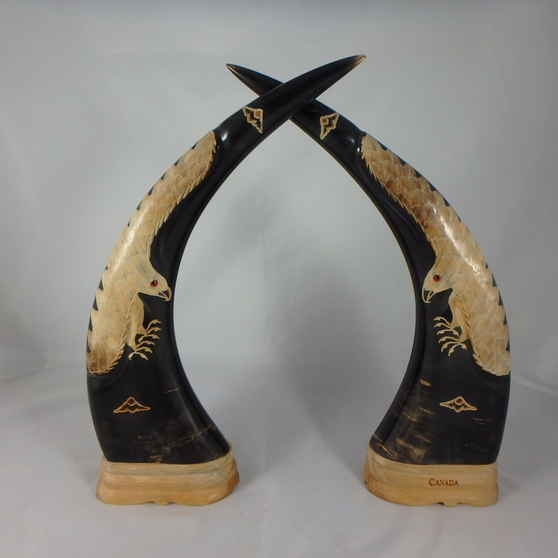 Pair Canadian Buffalo Horns (1 of 3)