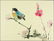 Att. Zhao Shaoang赵少昂(1915-2005) - 4