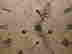 item-3577309=6
