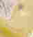 item-595589=3