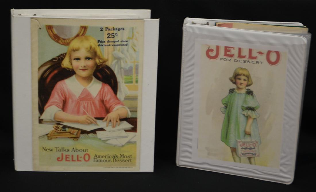 2 Jell-O Albums, Advertising and Research: 2 Jell-O Albums, Advertising and Research: Album 1 contains 17 Jell-O Recipe Booklets from 1916 up to 1926 by such artists as Maxfield Parrish, Linn Ball, Norman Rockwell and Lucille Peterson Marsh. T