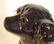 308: Pr Ceramic Mantel Dogs w/Glass Eyes - 5